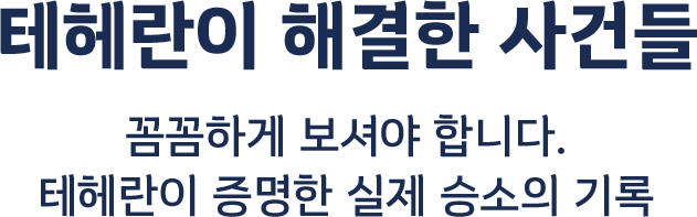 사건 유형별 상담
